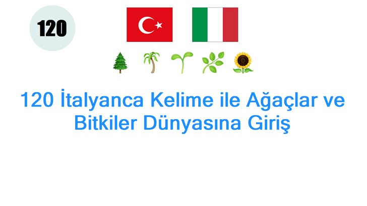 120 İtalyanca Kelime ile Ağaçlar ve Bitkiler Dünyasına Giriş